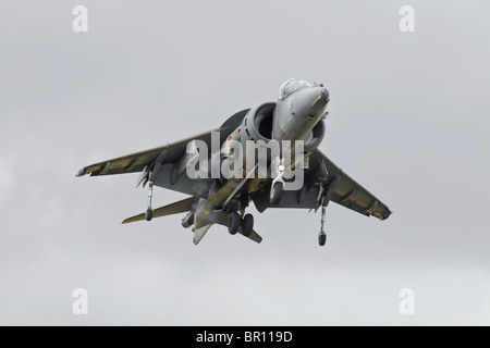 Un Bae Systems Harrier GR9 jump jet strike fighter del RAF Foto Stock