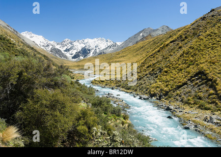 Nuova Zelanda, Isola del Sud, Arrowsmith gamma. Cameron fiume. Foto Stock