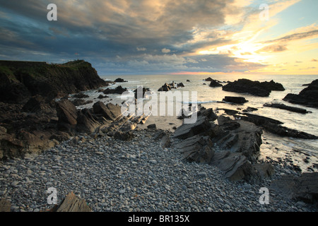 Hartland Quay, North Devon, Inghilterra, Regno Unito Foto Stock