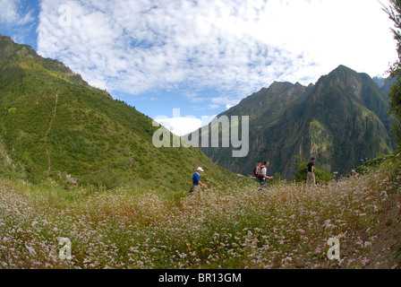 Trekking in Nepal. Foto Stock