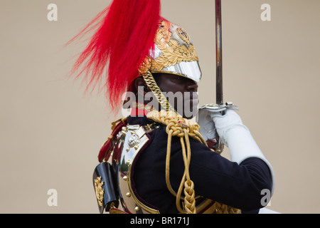 Il campo ufficiale della scorta. "Trooping il colore' 2010 Foto Stock