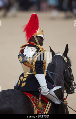 Il campo ufficiale della scorta. "Trooping il colore' 2010 Foto Stock