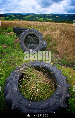 Vecchi pneumatici in gomma in campagna, Auvergne-rhone-Alpes, Francia Foto Stock
