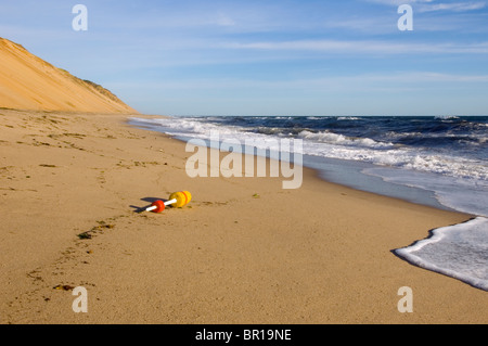 Una boa di aragosta lavato fino a terra in Truro, Massachusetts. Foto Stock