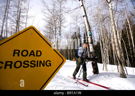 Sci Backcountry alla capanna McNamara, Aspen, Colorado. Foto Stock