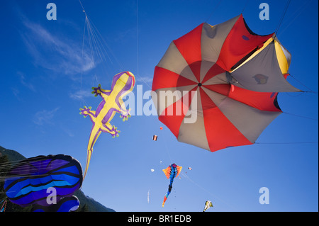 Italia Piemonte Torino Sauze d'Oulx un display di aquiloni in valle di Susa Foto Stock