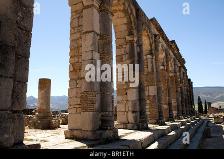 Basilica, Volubilis città romana, Marocco Foto Stock