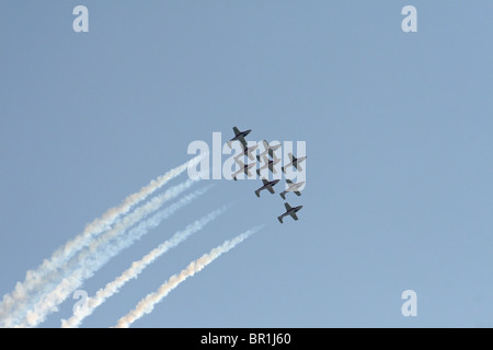 Canadian snowbirds air show Foto Stock