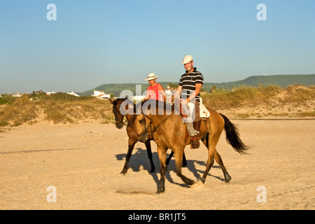 Sera a cavallo sulla spiaggia El Palmar, vicino a Conil de la Frontera, la provincia di Cadiz Cadice, Costa de la Luz, Andalusia, Spagna Foto Stock