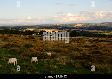 Guardando verso sud da Titterstone Clee Hill Foto Stock