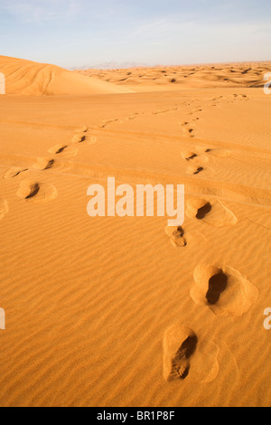 Paesaggio del deserto di Dubai con impronte umane nella sabbia. Foto Stock