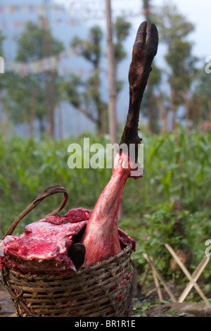 Gamba di un animale macellato in un cestello Foto Stock