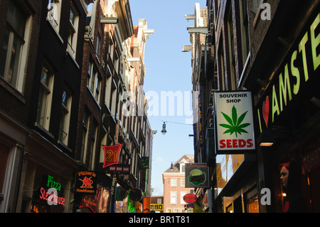 La Cannabis shop segno pubblicità semi per la vendita in una strada di Amsterdam Foto Stock