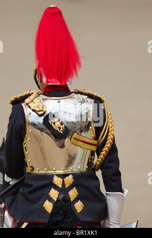 Riflessioni dello scudo il colonnello T W Browne. "Trooping il colore' 2010 Foto Stock