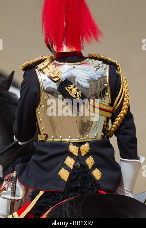 Riflessioni dello scudo il colonnello T W Browne. "Trooping il colore' 2010 Foto Stock