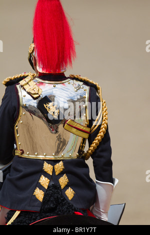 Riflessioni dello scudo il colonnello T W Browne. "Trooping il colore' 2010 Foto Stock