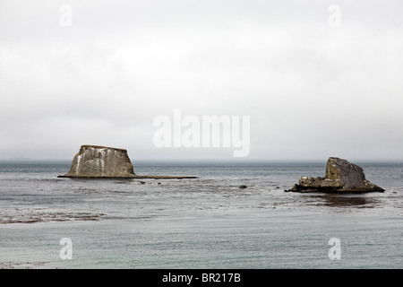 Grande inusuale guano colorate eroso offshore formazioni di roccia contro il banco di nebbia più stretto di Juan de Fuca Penisola Olimpica WA Foto Stock