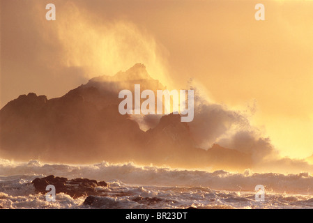 McClures Rock, punto Reyes Foto Stock