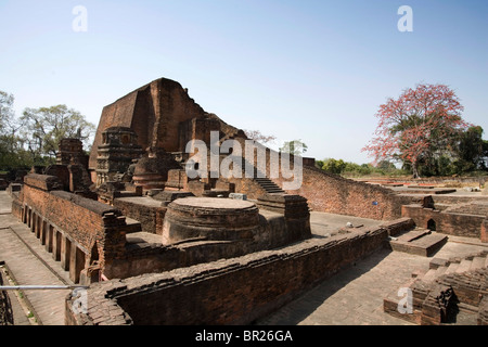 Nalanda era un monastero buddista e una delle prime al mondo università residenziale, Bihar, in India. Foto Stock