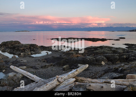 Driftwood al punto di bestiame, Victoria. Isole Chatham può essere visto nello stretto di Juan de Fuca e le montagne olimpiche Foto Stock