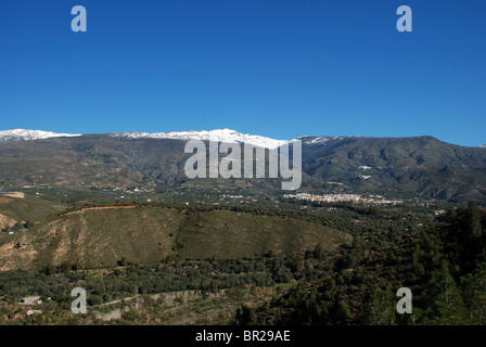 Campagna nella valle di Granada con un vista in lontananza la città, Orgiva, Las Alpujarras, provincia di Granada, Andalusia. Foto Stock