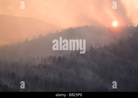 Angora Fire in South Lake Tahoe, CA Foto Stock