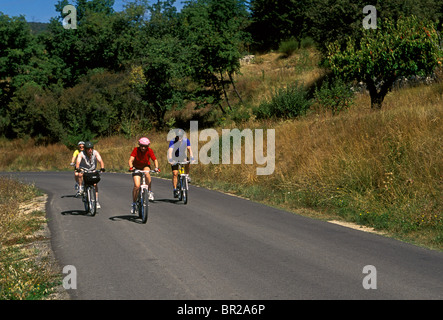 Persone, turisti, ciclista, ciclisti, ciclismo, corsa in bicicletta, ciclista, tour in bicicletta, touring, tra i villaggi di Gordes e Murs, Francia Foto Stock