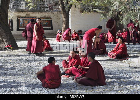 Discutendo di monaci, Monastero di Sera, Lhasa, in Tibet Foto Stock