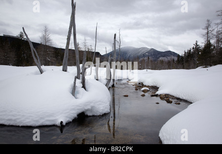 Brook Meadow durante i mesi invernali. Situato lungo il fiume Sawyer Trail in Livermore, New Hampshire USA Foto Stock