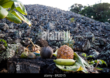 Offerte di cibo a sinistra a un altare in fondo Hawaiian Heiau (tempio) man-made struttura in pietra Foto Stock