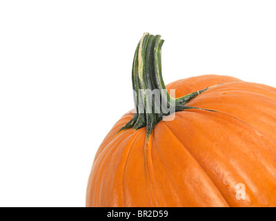 Primo piano di una zucca isolati su sfondo bianco Foto Stock