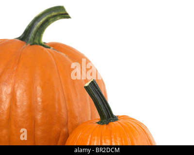 Primo piano di due zucche isolati su sfondo bianco Foto Stock