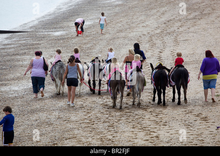 Asino passeggiate sulla spiaggia di Cleethorpes North East Lincolnshire Foto Stock