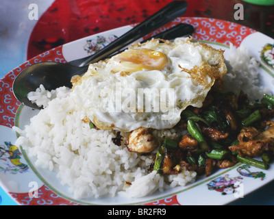 Cibo tailandese, Pad Krapao Gai, pollo con basilico dolce, peperoncino, riso e un uovo fritto Foto Stock