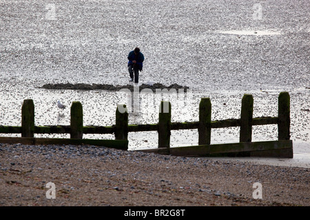 Lo scavo di vermi sulla spiaggia a Worthing West Sussex Foto Stock