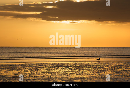 Tramonto sulla spiaggia di Brighton lat bassa marea, Brighton & Hove, East Sussex, Inghilterra Foto Stock