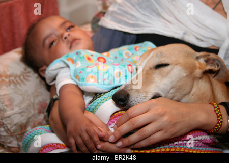 Il whippet cane e il bambino dorme nella madre di braccia Foto Stock