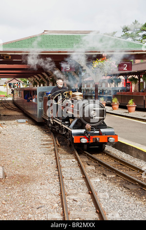 Fiume Esk miniatura locomotiva a vapore sul Ravenglass e Eskdale Steam Railway Cumbria Inghilterra England Regno Unito Foto Stock