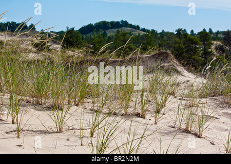 Silver Lake State Park Michigan Michigan Stati Uniti paesaggio con dune di sabbia ambiente ambientale tema ecologico temi ispirati foto ad alta risoluzione Foto Stock