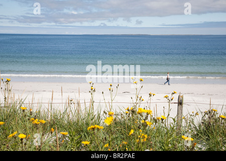 Whitemill Bay, Sanday; Isole Orcadi Scozia; Foto Stock