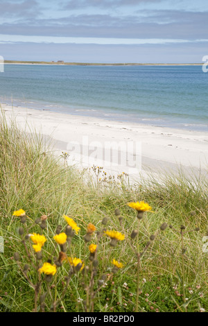 Baia di Lopness Beach, Sanday, Orkney Islands, Scozia Foto Stock