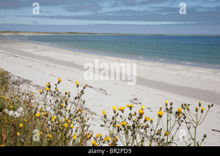 Baia di Lopness Beach, Isola di Sanday, Orkney Islands, Scozia Foto Stock