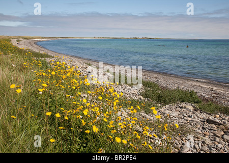 Baia di Lopness con il relitto della prima guerra mondiale il tedesco distruttore, Isola di Sanday, Orkney Islands, Scozia Foto Stock