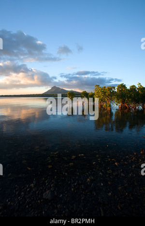 Tramonto di mangrovie, Mauritius Foto Stock