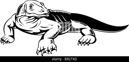 In stile retrò illustrazione del drago di Komodo o monitor lizard isolato su bianco Foto Stock