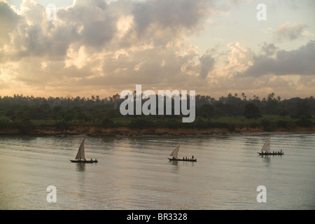 Dhow, tradizionale araba nave a vela con vele latine, pesce acque vicino a Dar es Salaam, Tanzania. Foto Stock