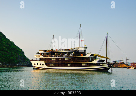 Vista delle formazioni di pietra calcarea con una indesiderata in primo piano nella baia di Halong, Vietnam Foto Stock