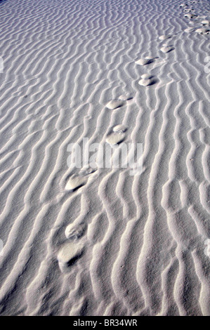 Orme nella sabbia White Sands National Monument New Mexico Foto Stock