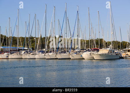 Yachts ormeggio nel porto Foto Stock