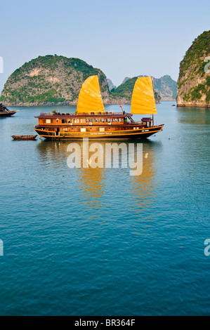 Vista delle formazioni di pietra calcarea con una indesiderata in primo piano nella baia di Halong, Vietnam Foto Stock